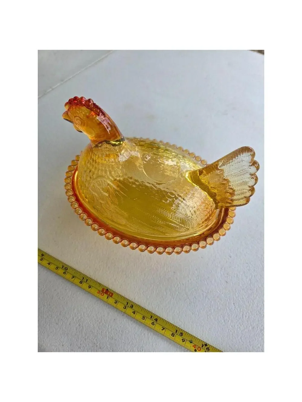 Indian Glass Hen on Nest